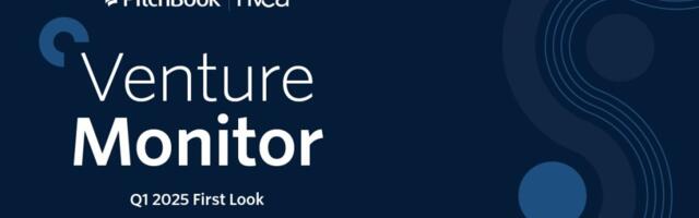 Q1 2025 global VC investment deals and deal amounts take a dip versus a year ago | NVCA