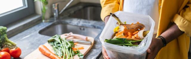 Composting 101: What You Can and Can't Throw Into Your Compost Bin