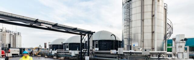 PACE biorefinery to transform potato juice into sustainable bio-based chemicals