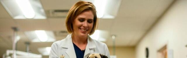 Nearly 25% of US pet owners insure their pets. Should you?