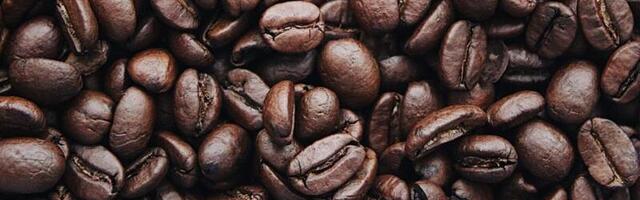 Supercharging Fuel Cells with Caffeine