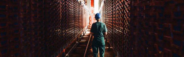 Insect protein startup nsect prepares to sell for parts