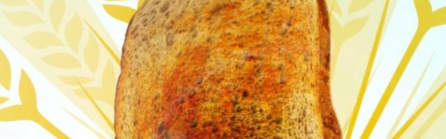 Surgeon Simulator developer suffers more layoffs, says it will "scale back" operations