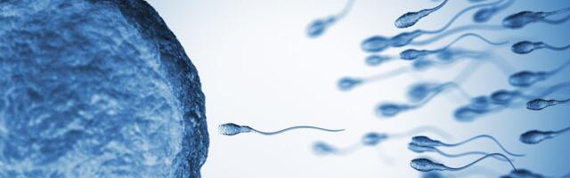 Sperm From Older Men Have More Genetic Mutations