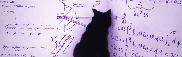 Округление и форматирование чисел в React: адаптивный подход