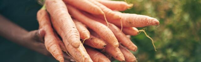 Sustainable supply chain group Mondra merges with Austria’s inoqo