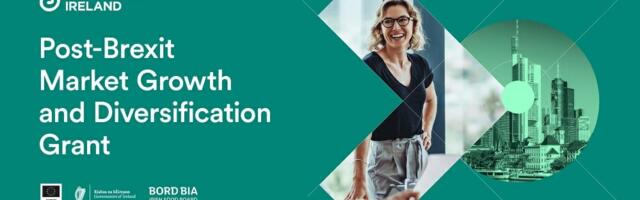 New Initiative to Help Brexit-Impacted Companies Develop New Markets
