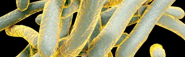 Kansas Is Battling the Largest Tuberculosis Outbreak Ever Recorded in the U.S.