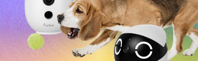The 10 Best Pet Cameras of 2026: Furbo, Petcube, and Enabot