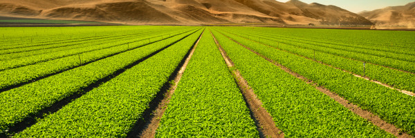 Agricultural biotech startup Boost Biomes adds a strategic investor in Japan’s Universal Materials Incubator