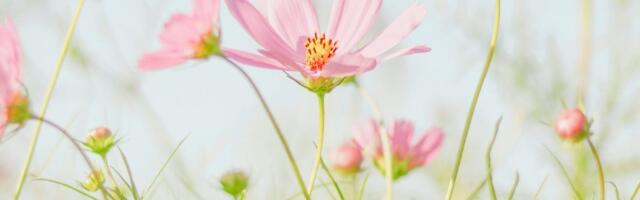 [Перевод] Грязный секрет ИИ: быть лучшим больше не имеет значения