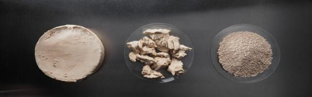 Enifer secures €12M for first commercial-scale PEKILO® mycoprotein factory