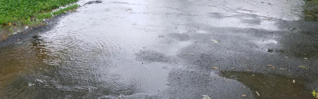 Goodbye Solid Concrete: This Alternative Could Save Your Driveway From Flooding