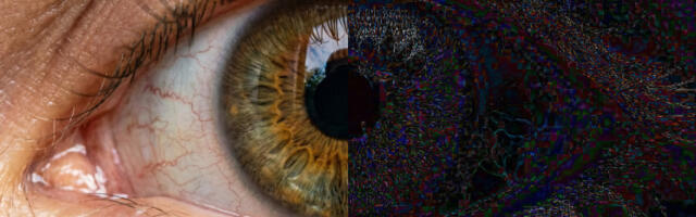 В каждом JPEG зашита модель вашей сетчатки. Буквально