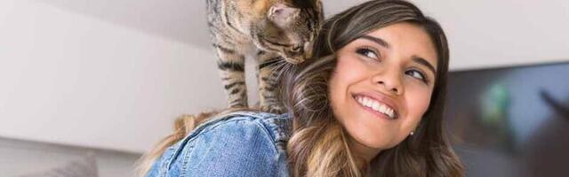 This accelerator wants to ease the vet shortage with helpful pet tech and funding for pet care startups