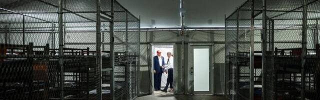 Environmentalist Lawsuit Halts Construction of Florida’s ‘Alligator Alcatraz’