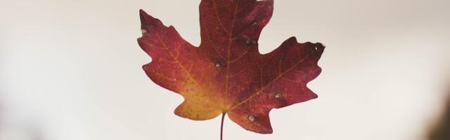 Eavor, Ionomr Innovations, Summit Nanotech among 13 Canadian companies named to 2024 Global Cleantech 100