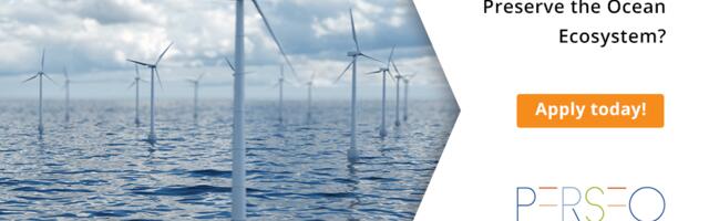 Scale Your Nature-inclusive Solutions for Offshore Wind Farms with the Iberdrola Global Startup Challenge