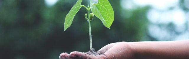 Five ways that 5G promotes sustainability