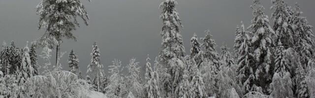 NOAA’s Winter Forecast Is Here: See What’s in Store for Your State