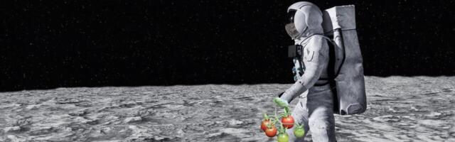 European Space Agency unveils new plan for growing plants on the Moon