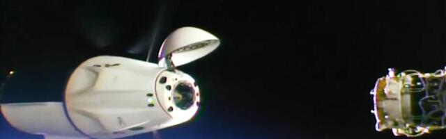 Watch NASA's SpaceX Crew-10 astronauts return to Earth