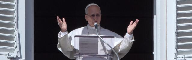 Pope Leo's latest AI warning: 'overly affectionate' chatbots