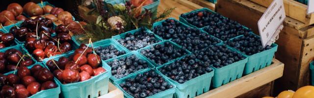 The prices at Ina Garten's favorite Hamptons farm stands broke my heart, but the food was so good it healed me