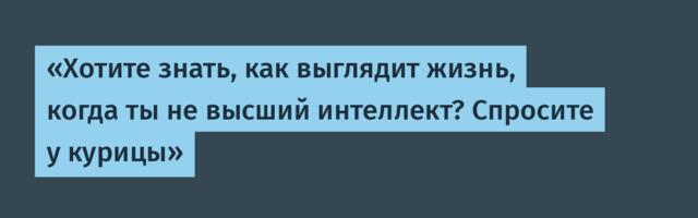 «Хотите знать, как выглядит жизнь, когда ты не высший интеллект? Спросите у курицы»