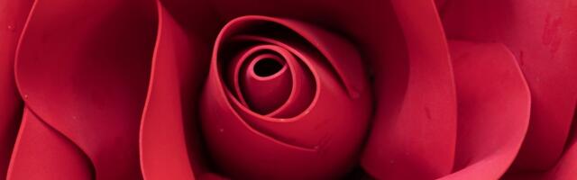 Valentines Day sex toy deals are already heating up. Save up to 85% on famous toys.