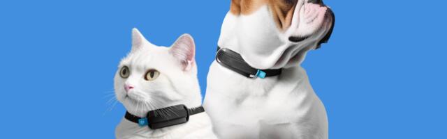 CES 2024: Invoxia Launches AI Wearable That Monitors Your Pet's Health