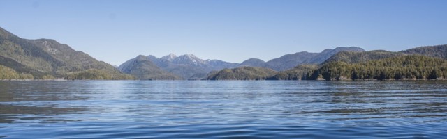 Ocean Supercluster provides collective $5.2 million to four new projects