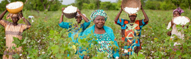 Sustainability for cotton Better Cotton urges COP27 to support farmers