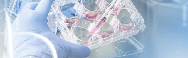One Biosciences raises €15M Series A to advance precision oncology platform