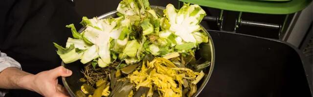 AI Scales, Smaller Plates: How Hotels Are Fighting Food Waste and Emissions