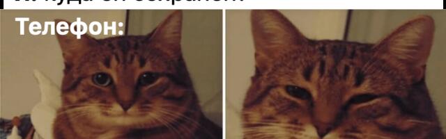 Превращаем сайт в мобильное приложение за пару шагов. Часть 2