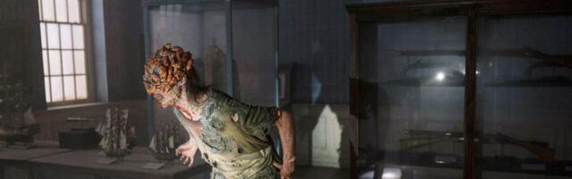 Why don’t we have vaccines for fungal infections?