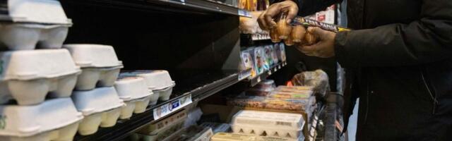 Could bird flu vaccines help tackle high egg prices? Experts say it’s not so simple
