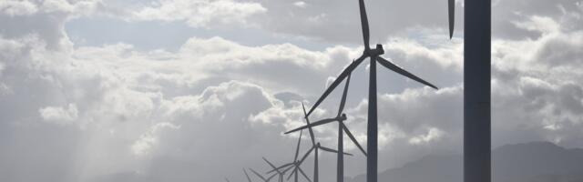 Renewables Power Over Half of Electricity in February