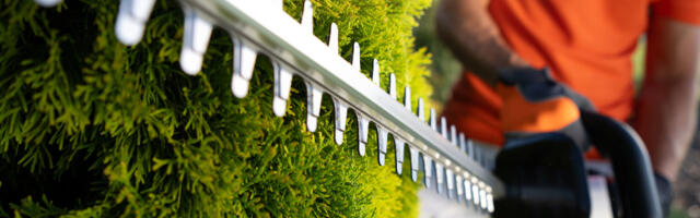 5 Of The Best Hedge Trimmers You Can Buy In 2025