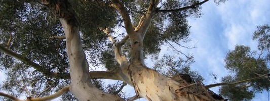 EBay and Adevinta to sell UK sites Gumtree, Motors.co.uk and Shpock to get their $9.2B deal past regulators