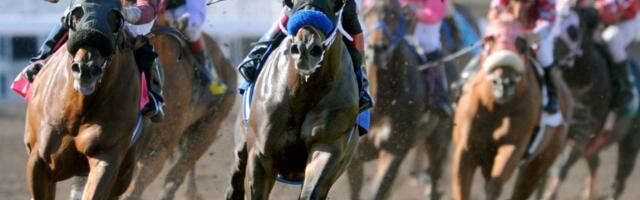 Northern California horse racing faces grim future