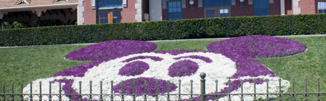 Disneyland’s all-time attendance reaches 900 million