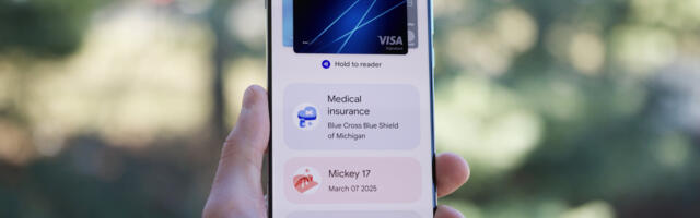 Here’s an early look at the upcoming search in Google Wallet