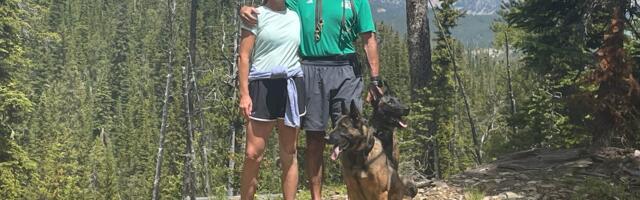 I spent $200,000 on my dogs. I'm almost embarrassed to admit that, but their intellect makes them really valuable.