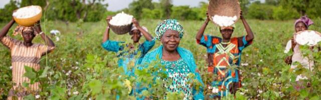 New initiative to support sustainable cotton production in Africa