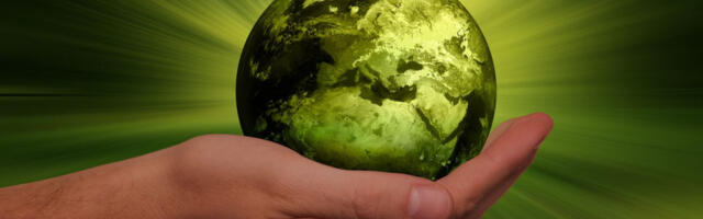 Businesses are planning a major sustainability push in the next few years - but will it pay off?