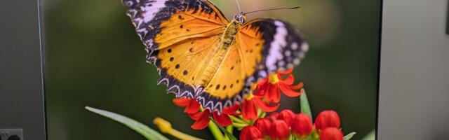 Amazon’s new Omni QLED TV is now on sale – but I’d look for this better-value model instead on Black Friday