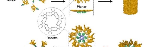 Chiba University Researchers Pioneer Dendron-Enhanced Chlorophyll Assemblies for Next-Gen Light-Harvesting Materials