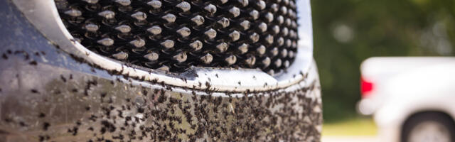 How To Clean Your Car's Grille Properly, No Matter The Style